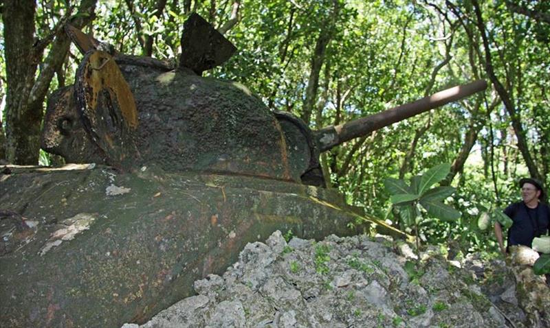 Thumbnail of Photo Number 10684