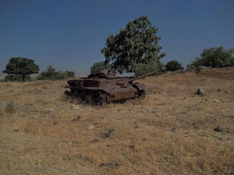 Thumbnail of Photo Number 11633