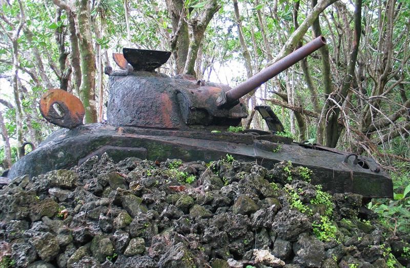 Thumbnail of Photo Number 31521